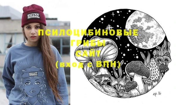 стафф Пролетарск
