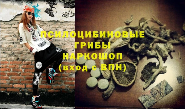 ГАЛЛЮЦИНОГЕННЫЕ ГРИБЫ Чекалин