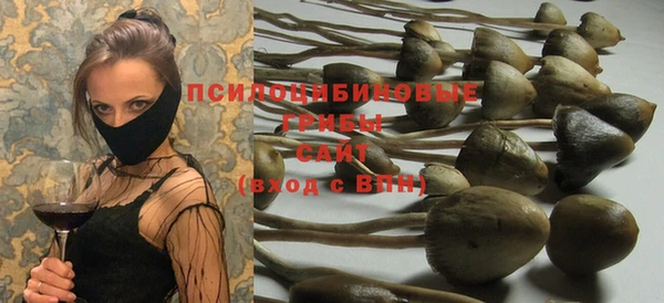 спиды Приозерск