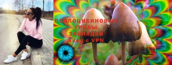 стафф Пролетарск